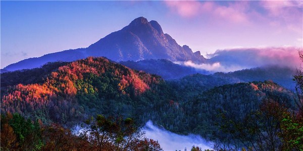 China's Natural Oxygen Bar